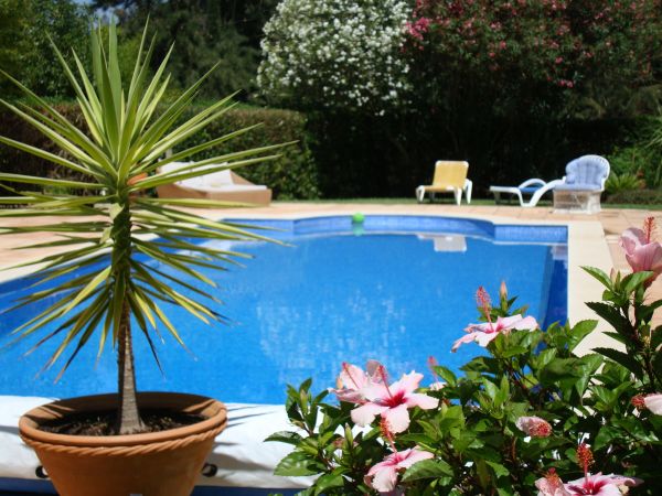 Cost of Pool Terrace Renovation in Truckee